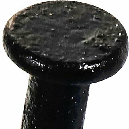 Hillman Common Nail, 1-5/8 in L, Black Finish 461519